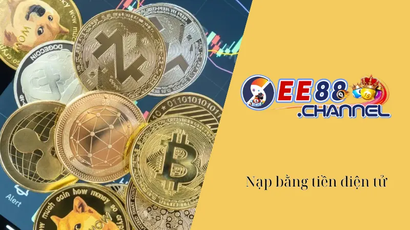 Các Phương Thức Nạp Tiền EE88